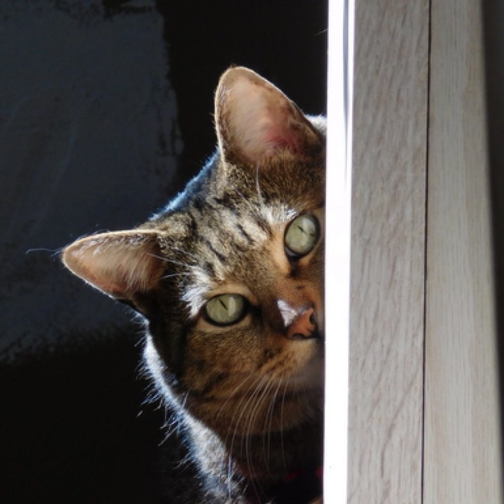 Meet your Posher, Kathryn